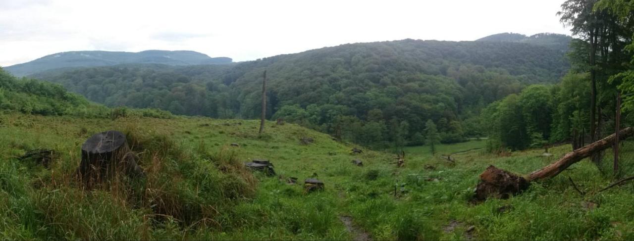 Slovak Near Bratislava In The Heart Of The Carpathians Modra