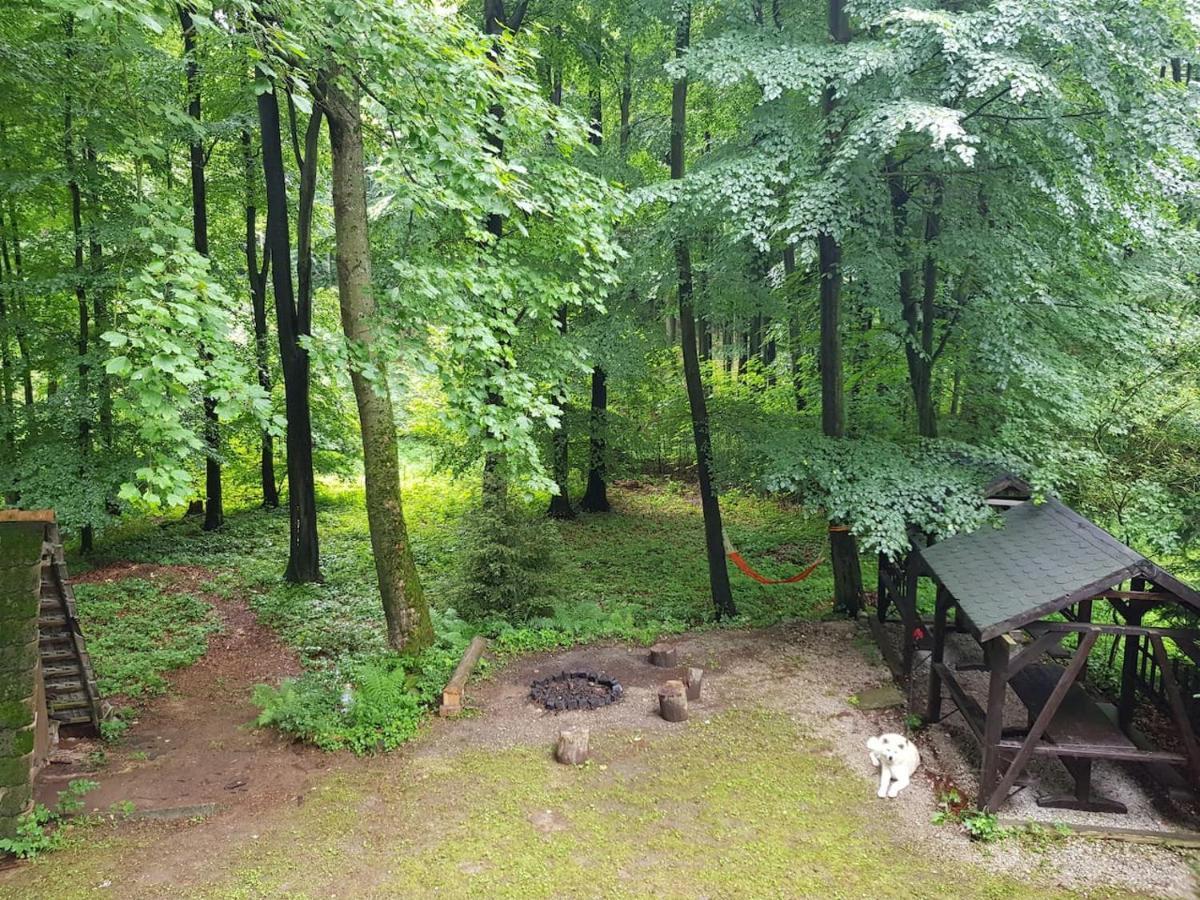 Chalet Slovak Near Bratislava In The Heart Of The Carpathians Modra